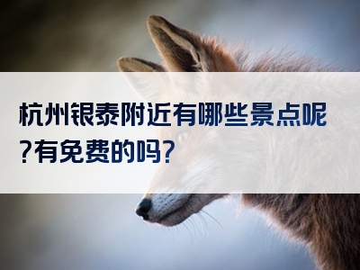杭州银泰附近有哪些景点呢？有免费的吗？