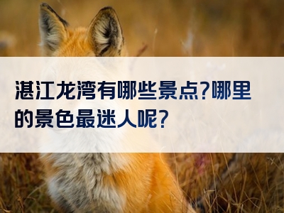 湛江龙湾有哪些景点？哪里的景色最迷人呢？