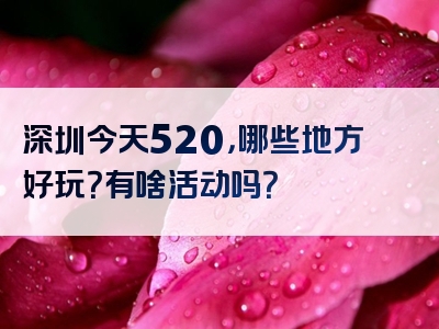 深圳今天520，哪些地方好玩？有啥活动吗？