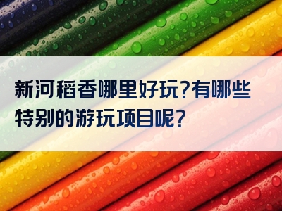 新河稻香哪里好玩？有哪些特别的游玩项目呢？