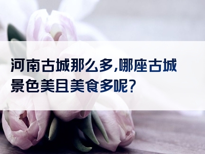 河南古城那么多，哪座古城景色美且美食多呢？