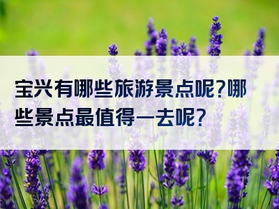 宝兴有哪些旅游景点呢？哪些景点最值得一去呢？