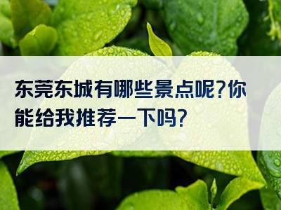 东莞东城有哪些景点呢？你能给我推荐一下吗？