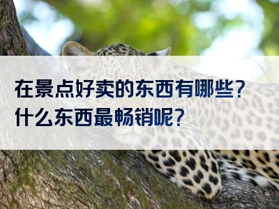 在景点好卖的东西有哪些？什么东西最畅销呢？
