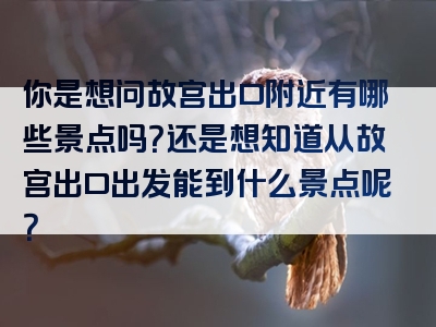 你是想问故宫出口附近有哪些景点吗？还是想知道从故宫出口出发能到什么景点呢？