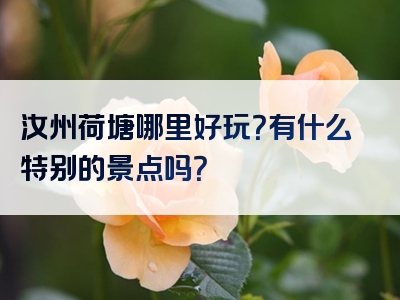 汝州荷塘哪里好玩？有什么特别的景点吗？