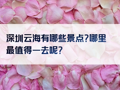 深圳云海有哪些景点？哪里最值得一去呢？