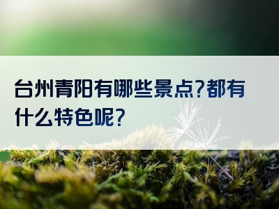 台州青阳有哪些景点？都有什么特色呢？