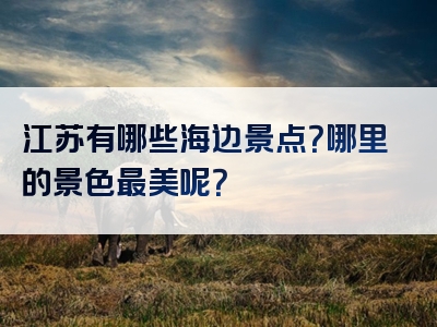 江苏有哪些海边景点？哪里的景色最美呢？