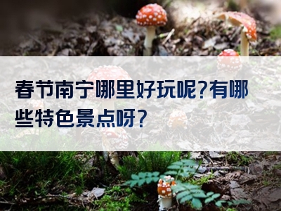 春节南宁哪里好玩呢？有哪些特色景点呀？