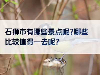 石狮市有哪些景点呢？哪些比较值得一去呢？