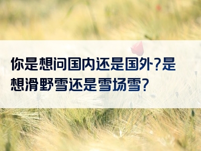 你是想问国内还是国外？是想滑野雪还是雪场雪？