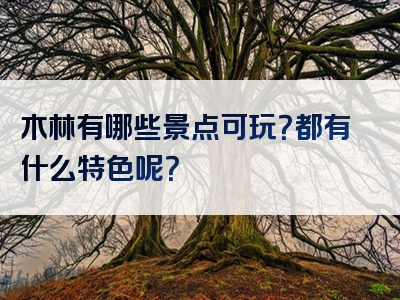木林有哪些景点可玩？都有什么特色呢？