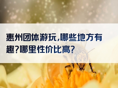 惠州团体游玩，哪些地方有趣？哪里性价比高？