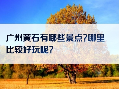 广州黄石有哪些景点？哪里比较好玩呢？
