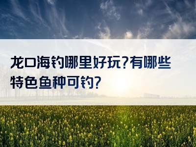 龙口海钓哪里好玩？有哪些特色鱼种可钓？