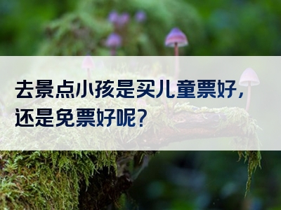 去景点小孩是买儿童票好，还是免票好呢？