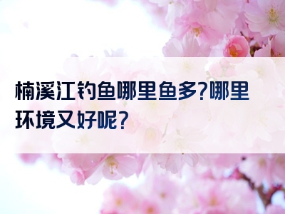 楠溪江钓鱼哪里鱼多？哪里环境又好呢？