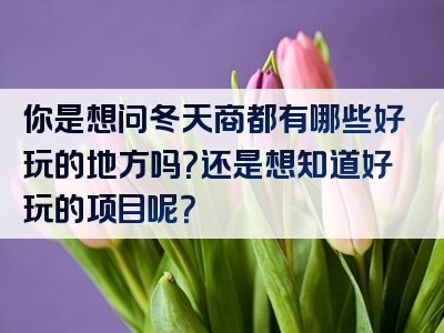 你是想问冬天商都有哪些好玩的地方吗？还是想知道好玩的项目呢？