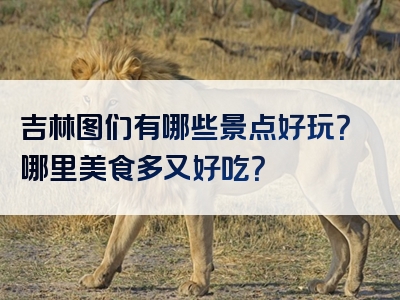 吉林图们有哪些景点好玩？哪里美食多又好吃？