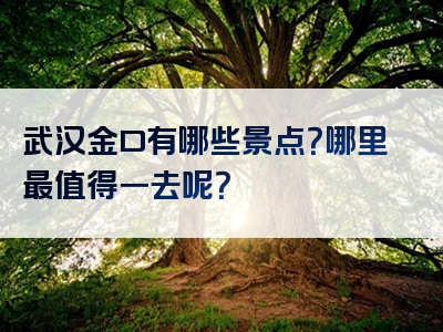 武汉金口有哪些景点？哪里最值得一去呢？