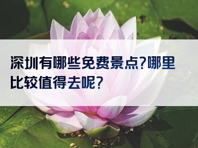 深圳有哪些免费景点？哪里比较值得去呢？