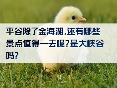 平谷除了金海湖，还有哪些景点值得一去呢？是大峡谷吗？