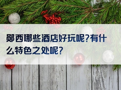 郧西哪些酒店好玩呢？有什么特色之处呢？