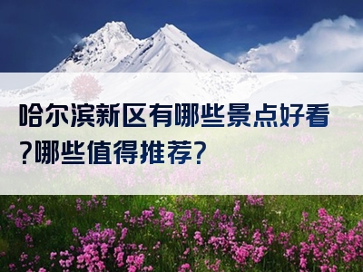 哈尔滨新区有哪些景点好看？哪些值得推荐？