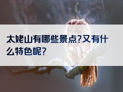 太姥山有哪些景点？又有什么特色呢？