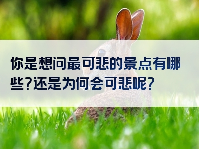 你是想问最可悲的景点有哪些？还是为何会可悲呢？