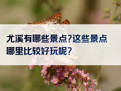 尤溪有哪些景点？这些景点哪里比较好玩呢？