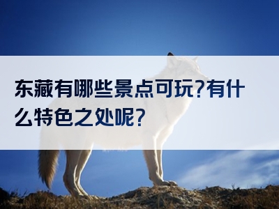 东藏有哪些景点可玩？有什么特色之处呢？