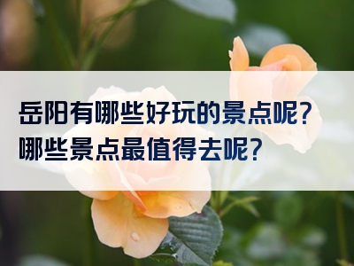 岳阳有哪些好玩的景点呢？哪些景点最值得去呢？