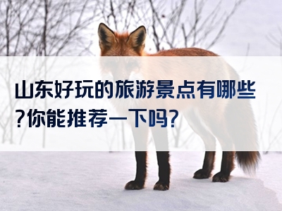 山东好玩的旅游景点有哪些？你能推荐一下吗？