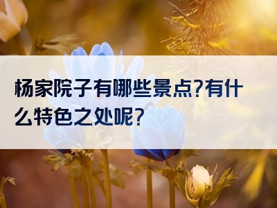 杨家院子有哪些景点？有什么特色之处呢？