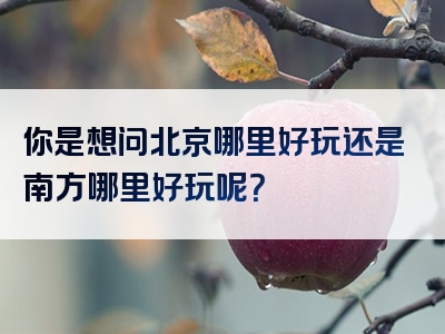 你是想问北京哪里好玩还是南方哪里好玩呢？