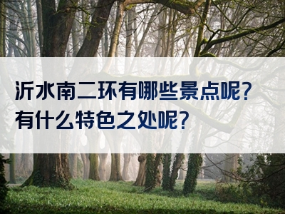 沂水南二环有哪些景点呢？有什么特色之处呢？