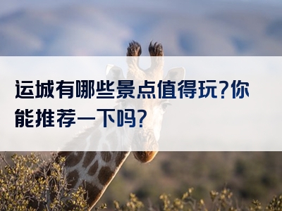运城有哪些景点值得玩？你能推荐一下吗？
