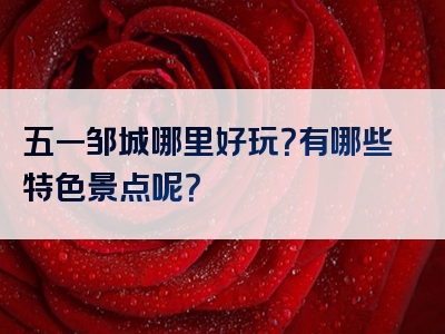 五一邹城哪里好玩？有哪些特色景点呢？