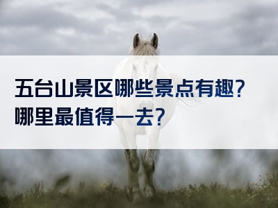 五台山景区哪些景点有趣？哪里最值得一去？