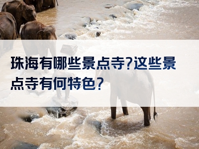 珠海有哪些景点寺？这些景点寺有何特色？