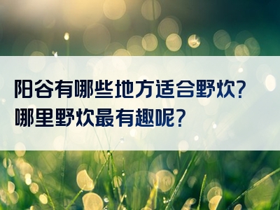 阳谷有哪些地方适合野炊？哪里野炊最有趣呢？