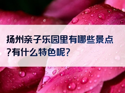 扬州亲子乐园里有哪些景点？有什么特色呢？