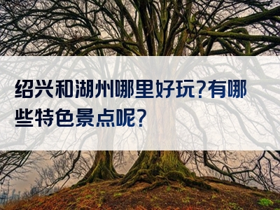 绍兴和湖州哪里好玩？有哪些特色景点呢？