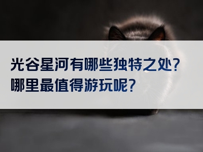 光谷星河有哪些独特之处？哪里最值得游玩呢？