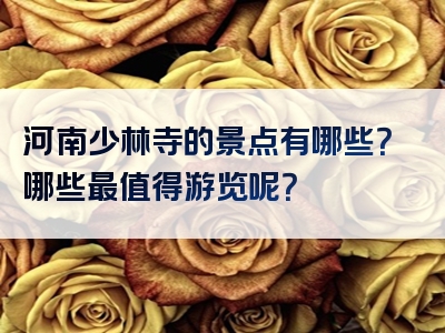 河南少林寺的景点有哪些？哪些最值得游览呢？