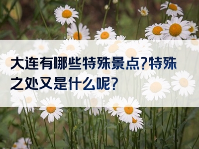 大连有哪些特殊景点？特殊之处又是什么呢？