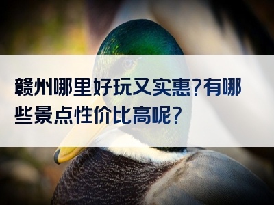 赣州哪里好玩又实惠？有哪些景点性价比高呢？