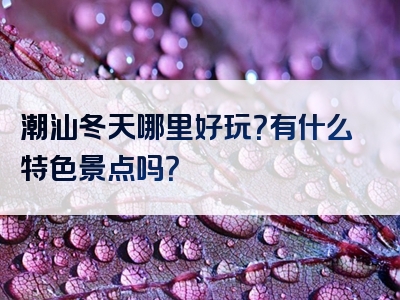 潮汕冬天哪里好玩？有什么特色景点吗？